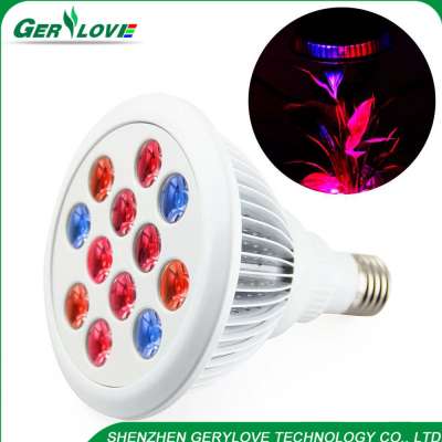 indoor 12 w led grow light gerylove for hydroponis system