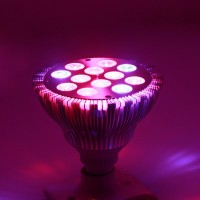 Par38 36W(12x3w ) E27 36w led grow lights for orchids, roses, peppers, tomatoes, lettuce