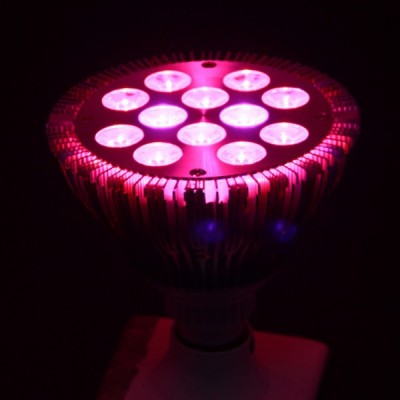 660nm 730nm red led grow light 36 watt , E27 led grow light with timers