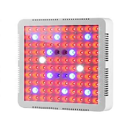 New arrival 300W Led grow light full spectrum for indoor plant with timer