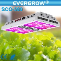 Hot selling Evergrow Saga 560W Seed Veg Bloom Led Grow Lights Full Spectrum for Hydroponics